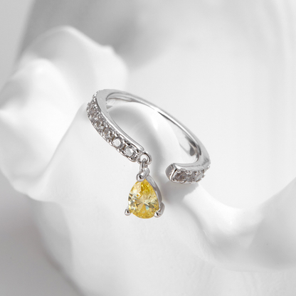 Zodiac Drop 925 Silver Ring